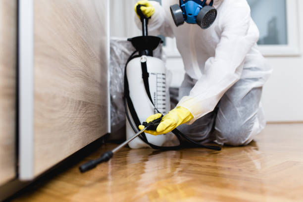 Best Exterminator Services  in Ridgeville, SC