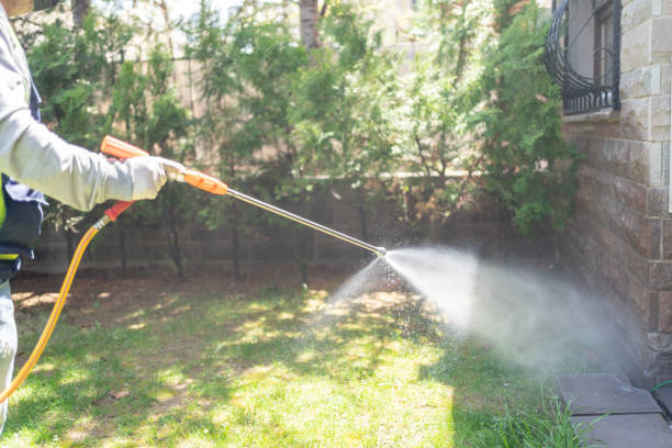 Best Local Pest Control Services  in Ridgeville, SC